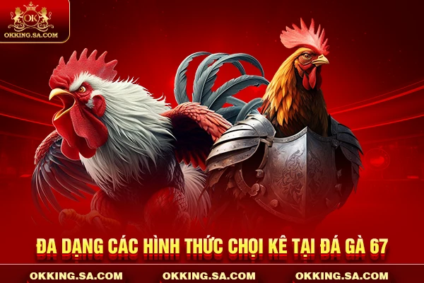 Đa dạng các hình thức chọi kê tại đá gà 67