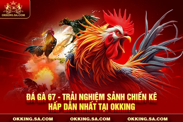 Đá Gà 67