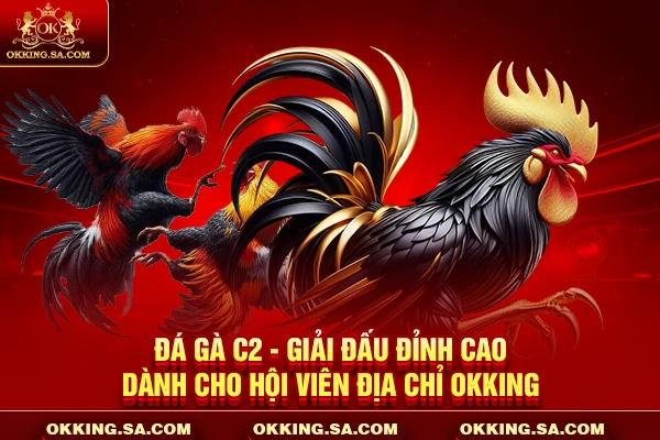 Đá Gà C2