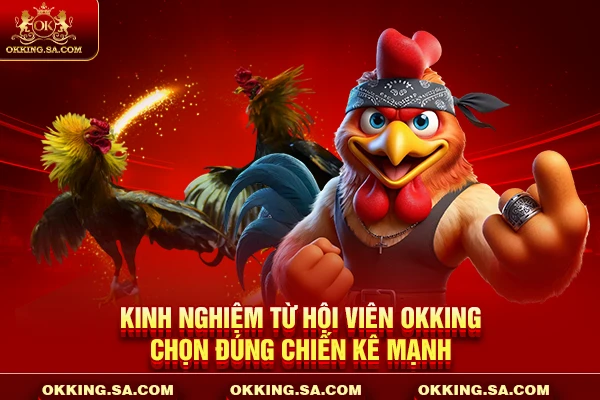 Kinh nghiệm từ hội viên OKKING chọn đúng chiến kê mạnh