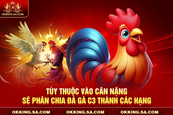 Tùy thuộc vào cân nặng sẽ phân chia đá gà C3 thành các hạng
